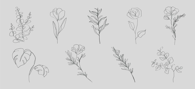Vector illustration of delicate floral line art with various plant designs.
