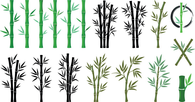 Bamboo stalk vector element set featuring green stems realistic stalks black silhouettes and zen circle enso icons for asian nature design