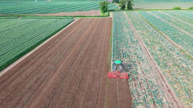 Green tractor plowing a field at sunrise with dramatic clouds. Aerial view of green tractor with red plow working on brown agricultural field, creating furrows in soil during farming season.