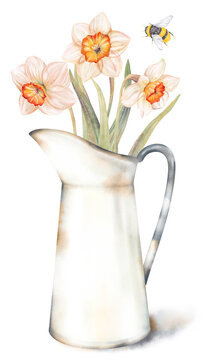 Delicate watercolor hand drawn illustration of a vintage white ceramic pitcher, daffodils flowers, bumblebee flying above, soft shadow, isolated on white background. Spring garden composition