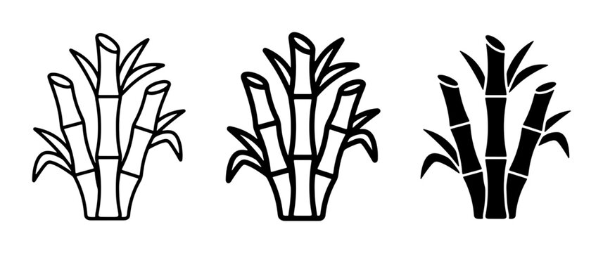 Sugar Cane Plant Icons, Sweet Crop Vector Graphics, Natural Food Ingredient Illustrations