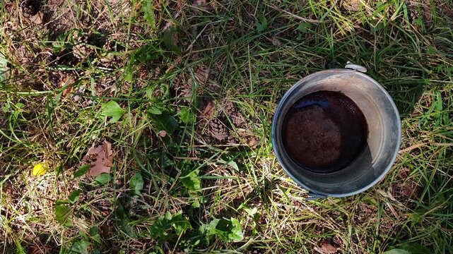 Top view of an old galvanized bucket standing on grass, rustic gardening equipment, countryside living, outdoor utility, summer season.
