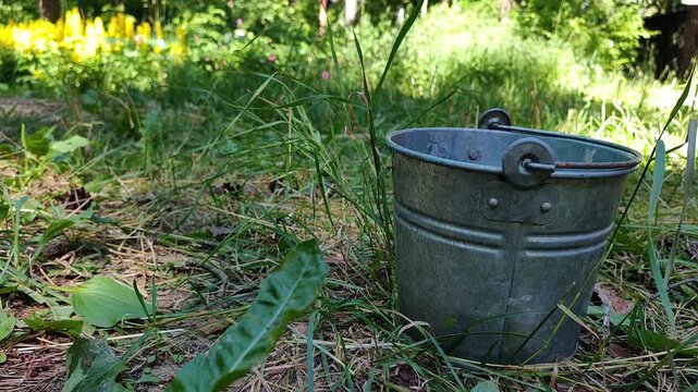 Old galvanized bucket stands on grass in a country garden, rustic gardening equipment, outdoor utility, countryside lifestyle, summer.