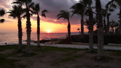 Sunset over Mediterranean Sea. Palm trees on Cyprus island coast. © Jan