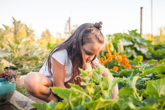 Young girl with brown hair tending to a lush garden