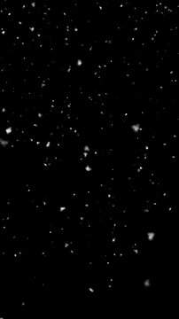 realistic winter snowfall,falling snow flakes isolated alpha channel animation, ,holiday christmas and new year stream vertical social media motion design element