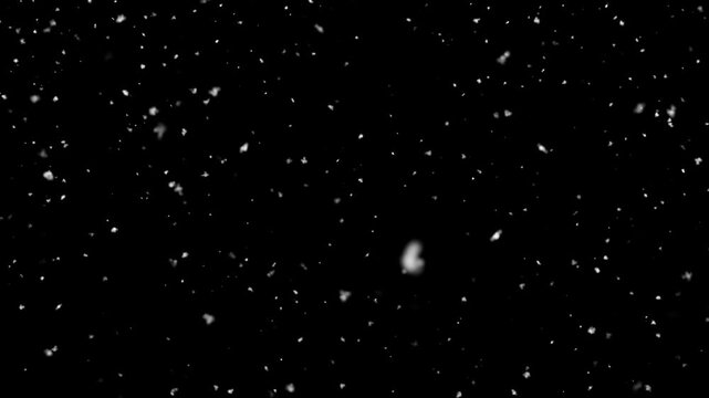 realistic winter snowfall,falling snow flakes isolated alpha channel animation, ,holiday christmas and new year stream social media motion design element