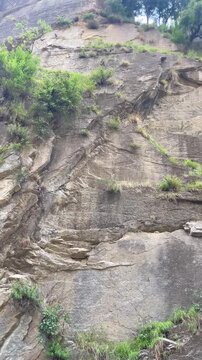 A vertical nature video showcasing a towering rocky cliff with lush green trees growing along the mountainside. this footage ideal for travel, adventure, geology, environmental, tourism, documentary, 