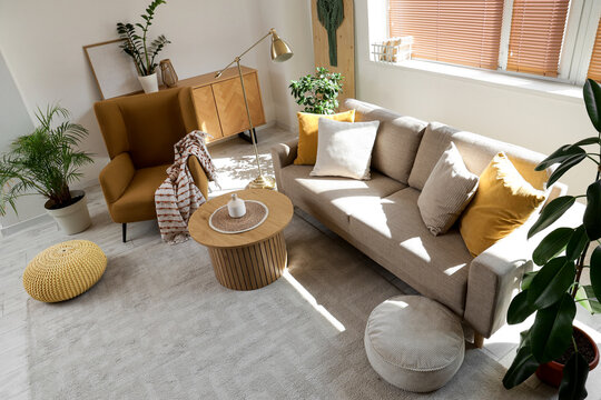 Interior of stylish living room with cozy grey sofa, brown armchair and coffee table