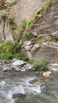 Clear Mountain Stream Flowing Through Rocky Canyon | Natural River Landscape | Vertical Nature Video
