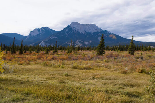 Rocky mountain range with conifer forest and autumn meadow