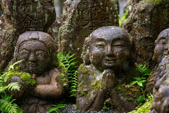 Mossy Rakan Stone Statues at Otagi Nenbutsu-ji Temple during Rain, Arashiyama, Kyoto, Japan