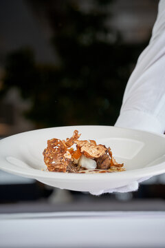 Waiter hands in white gloves holding white plate with gourmet appetizer and crispy chips. Luxury restaurant service.