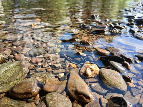 stones in the river