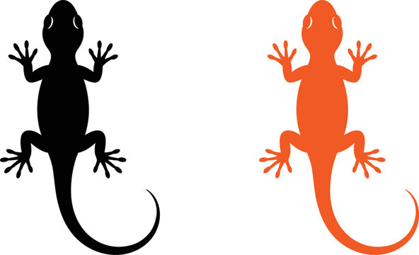 Two colorful lizard silhouettes on white background  reptiles  animals