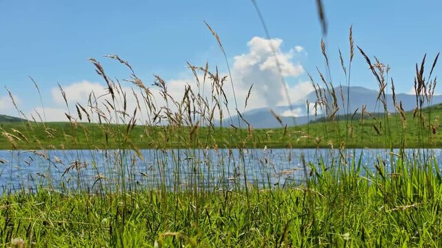 夏の草千里ヶ浜　阿蘇