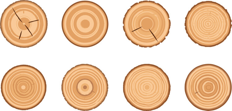 Natural Wood Tree Ring Cross Section Flat Vector Collection Featuring Timber Trunk Growth Rings and Log Slice Textures
