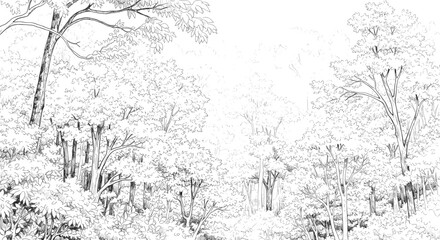 Obraz premium Open canopy forest background, detailed hand-drawn woodland scene, vintage nature ink illustration, black and white line art vector graphic.