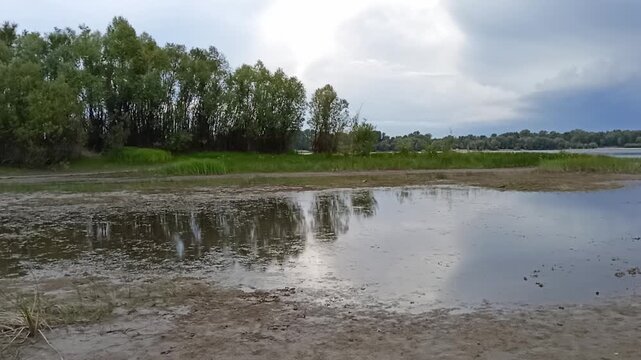 Sparse forest on the opposite bank of a wide swamp with grass under a cloudy summer sky. Matveevskaya channel, Siberia, Russia.