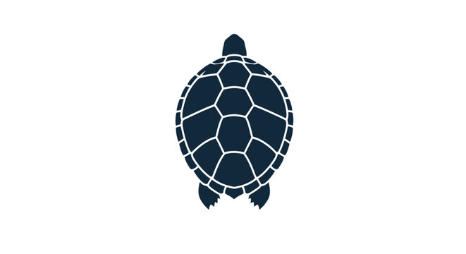 Turtle Shell Silhouette Sea Animal.