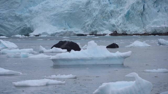 Steady close-up shot of blue-tinted icebergs and brash ice floating in the Errera Channel with a massive tidewater glacier wall in the background at Georges Point, Antarctica