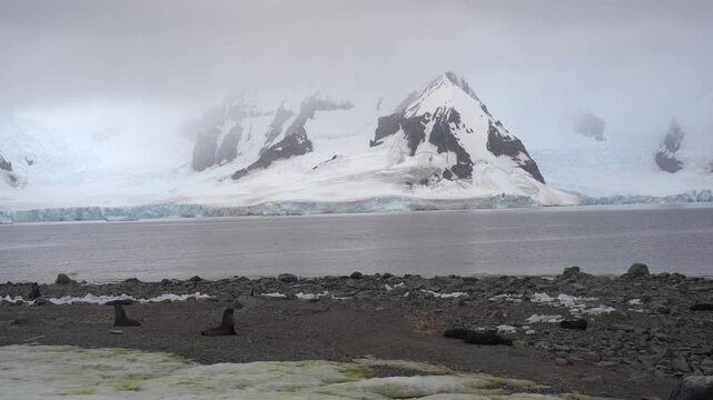 Steady wide-angle shot of blue ice chunks and brash ice washed up on the rocky shoreline of Georges Point, Rong&eacute; Island, with distant glaciers and mountains under an overcast sky