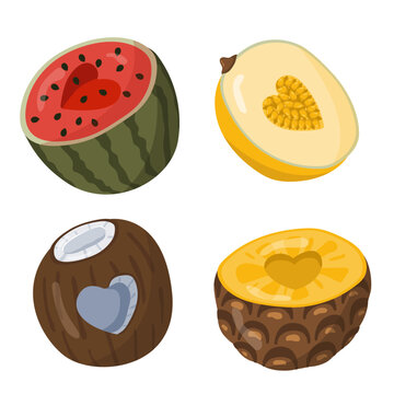Vector set with halves of melon, watermelon, coconut, and pineapple. Suitable for packaging juices, tropical drinks, and cocktails.