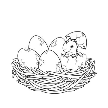 Baby Bird Hatching From Cracked Egg in Woven Nest Illustration on White Background