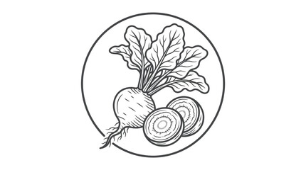 Fototapeta premium Corporate of Fresh Turnip Root with Green Leaves and Cross Sections in Monochrome Design with high quality professional line art symbols for modern creative design and digital branding projects