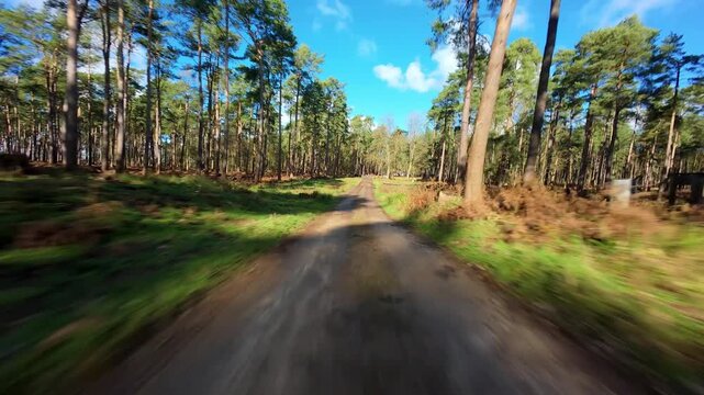 Sunlit spring woodland landscape background featuring fast-paced low altitude drone motion.