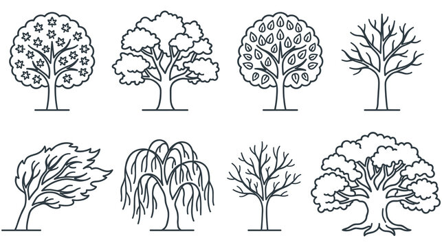Set of eight outlined simple trees in various styles and shapes vector illustration.
