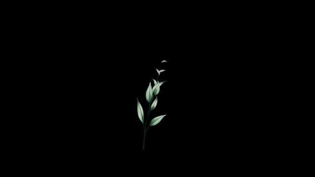 Botanical Micro Element 03