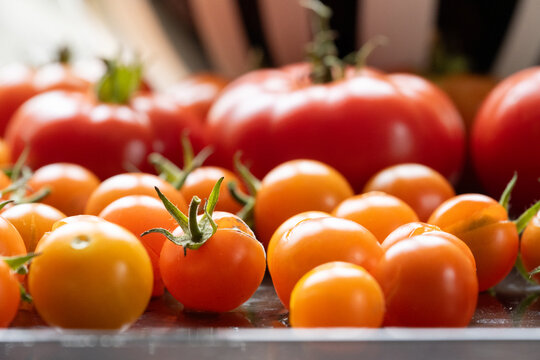Fresh cherry tomatoes Solanum lycopersicum on kitchen surface.