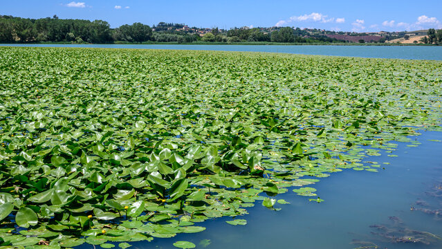 Laghi di Chiusi e di Montepulciano