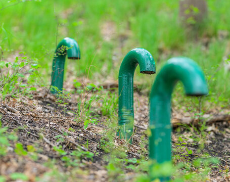 Green curved ventilation pipes emerging from forest floor.