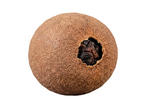 A single mature sapote fruit with rough texture and open hole revealing dark pulp, isolated on transparent background.