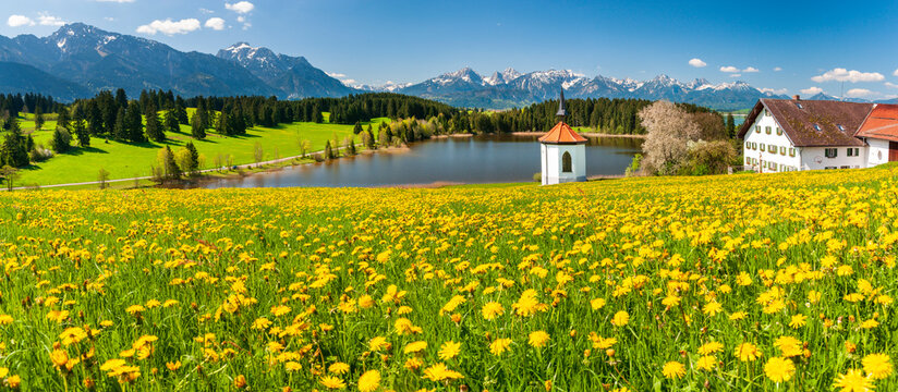 Panorama Landschaft mit Fr&uuml;hlingswiesen im Allg&auml;u mit Blick &uuml;ber den Hegratsrieder Weiher und die Allg&auml;uer Alpen zum Berg S&auml;uling