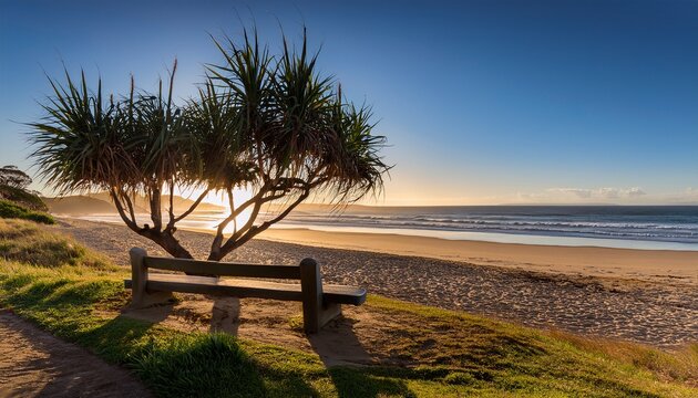 Coastal Viewpoint Bench On Nsw Beach With Pandanus Trees