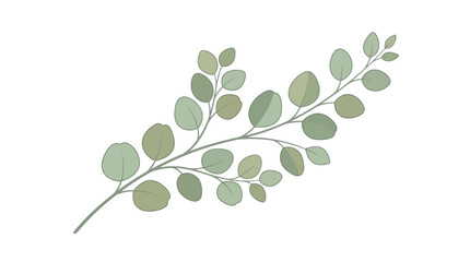 Minimalist eucalyptus branch vector illustration © IFFA