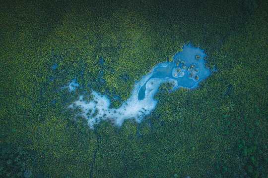 Aerial view of the winding Loboc River flowing through dense tropical forest and lush green vegetation in Bohol, Central Visayas, Philippines.