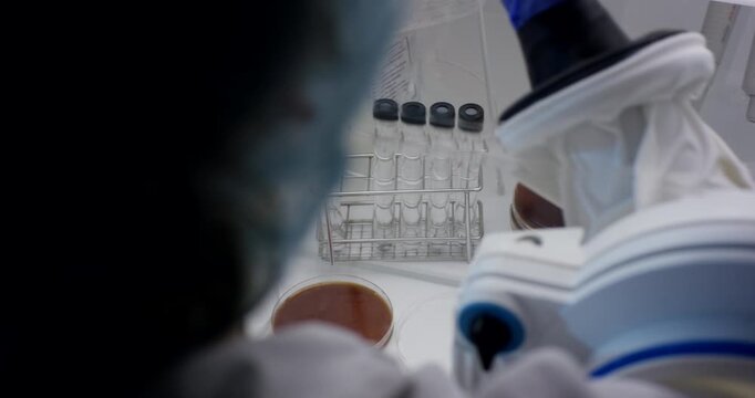 High angle view of scientist using pipette with test tube rack and petri dish on laboratory counter