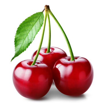 Three juicy ripe sweet cherries with leaves isolated on transparent background.
