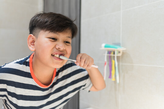 Pediatric dental care concept demonstrating juvenile morning hygiene routine and toothbrush sanitation