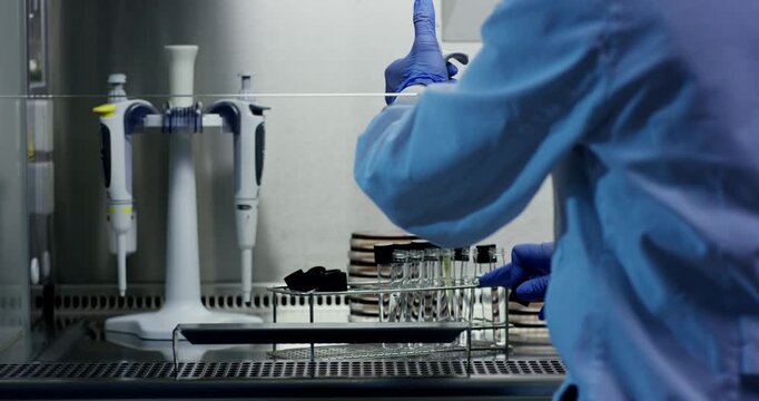 Scientist in a laboratory hood utilizing a pipette to extract liquid from test tubes