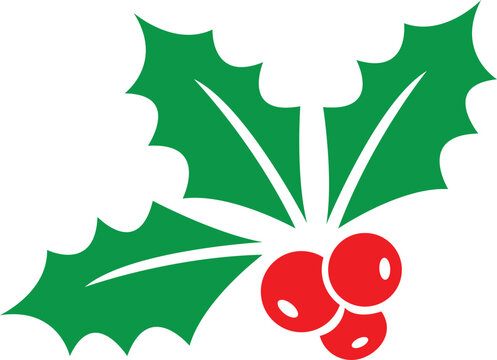 Christmas holly sprig with green leaves and red berries. Traditional festive winter decoration isolated on white. Simple holiday symbol for seasonal design and greeting cards.