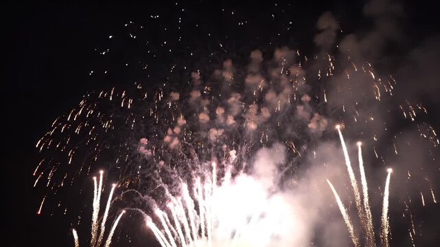 A vibrant display of fireworks illuminates the night sky.