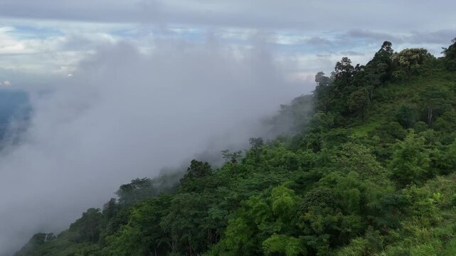 Aerial video showing fog and green forest in the morning on the mountain during the winter season in Thailand.
