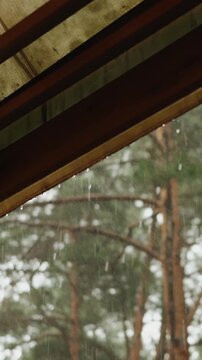 Vertical video. Rain falling beyond a wooden roof with pine trees in the background.