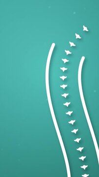 Spine Animation Depicts Backbone for Chiropractic Presentation and Healthcare