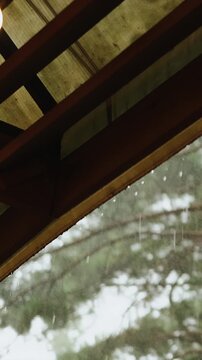 Vertical video. View from under a wooden roof during rain with pine trees behind.